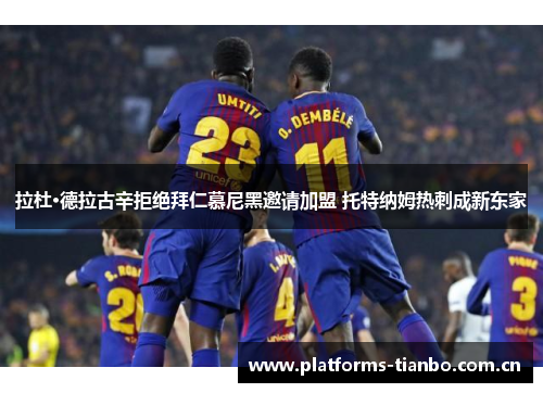拉杜·德拉古辛拒绝拜仁慕尼黑邀请加盟 托特纳姆热刺成新东家 拉杜·德拉古辛拒绝拜仁慕尼黑邀请加盟 托特纳姆热刺成新东家